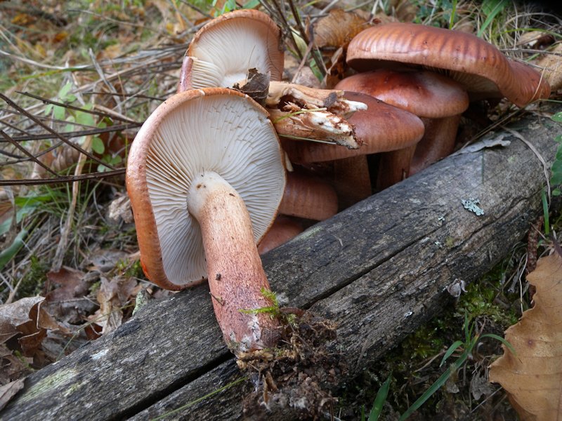 Forse l''ultima bellissima giornata..!!